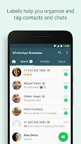 我可以通过 WhatsApp 转账吗？