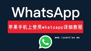 数据whatsapp facebook